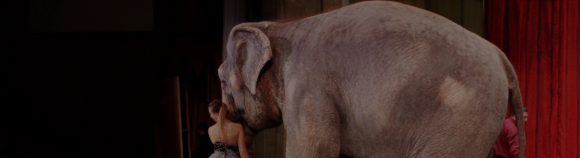 Необыкновенное путешествие