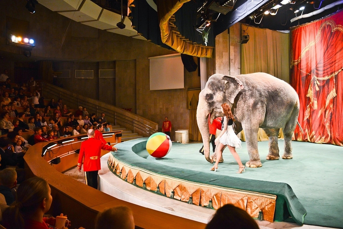 В гостях у дедушки Дурова