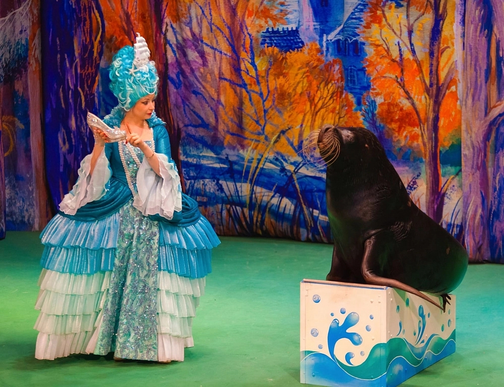 История хрустальной туфельки