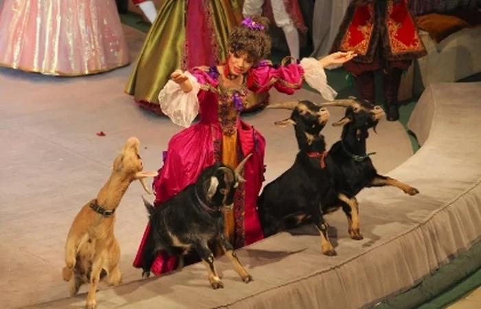 Event image История хрустальной туфельки
