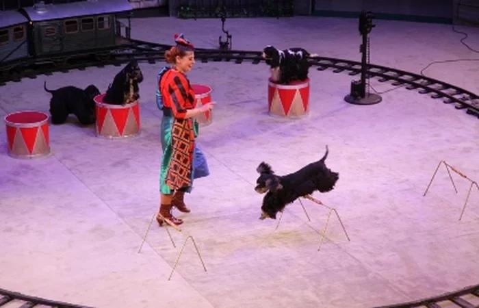 Event image «Дорога – длиною в век»