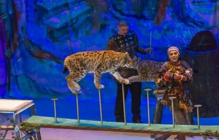 Event image По следам Снежной Королевы
