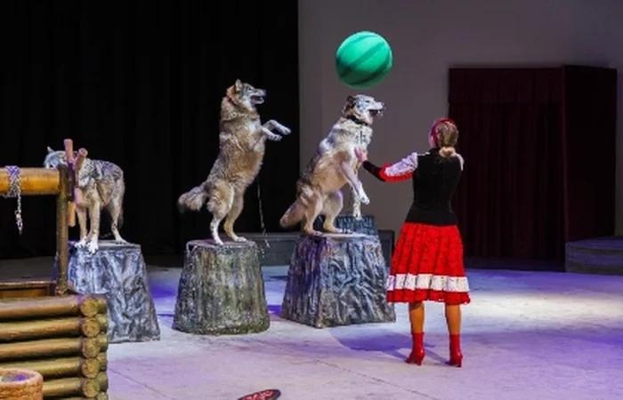 Event image Необыкновенное путешествие