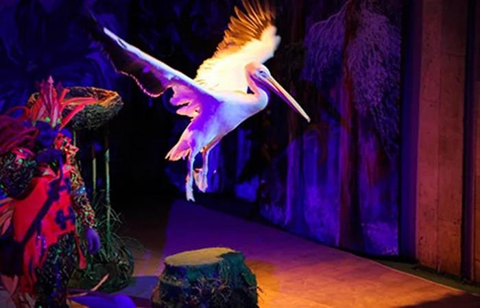 Event image История хрустальной туфельки