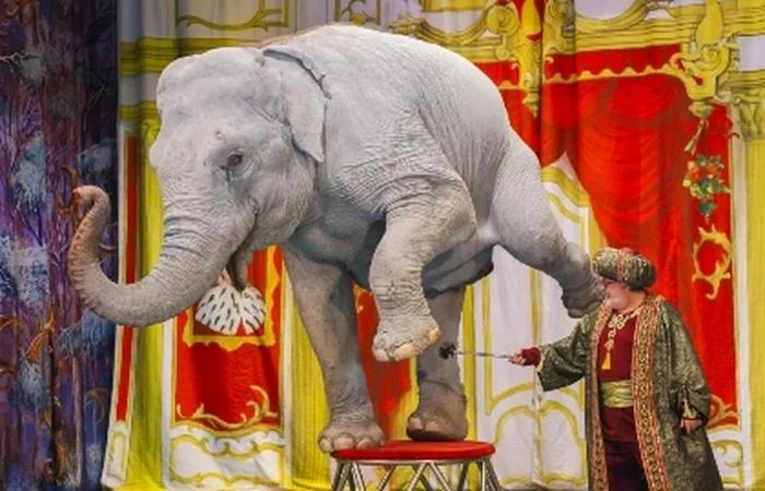 Event image История хрустальной туфельки